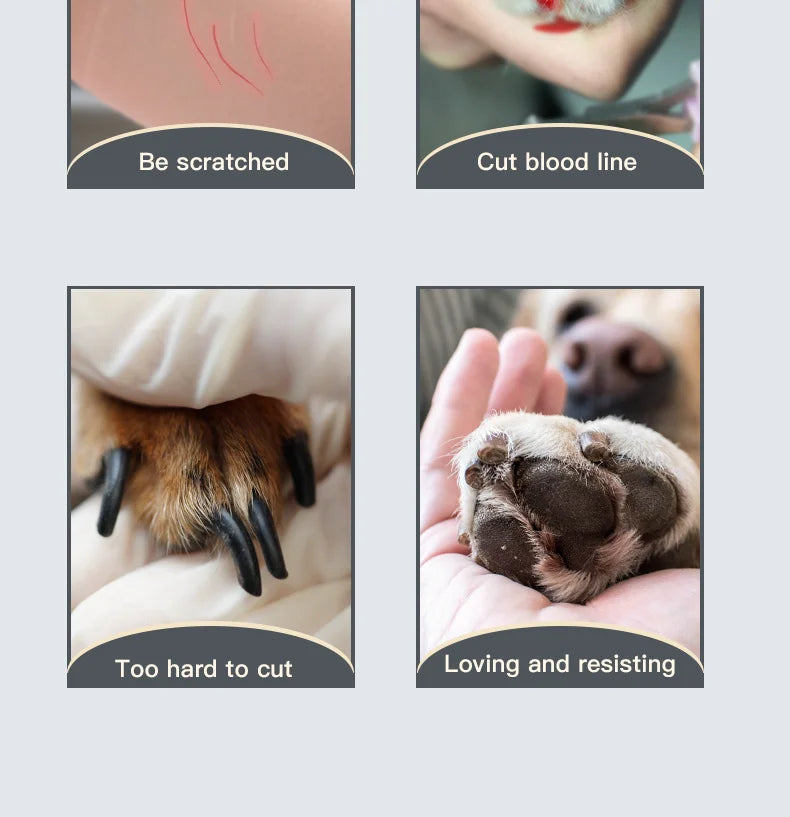 Salon-Style Electric Pet Nail Polisher & Grooming Tool