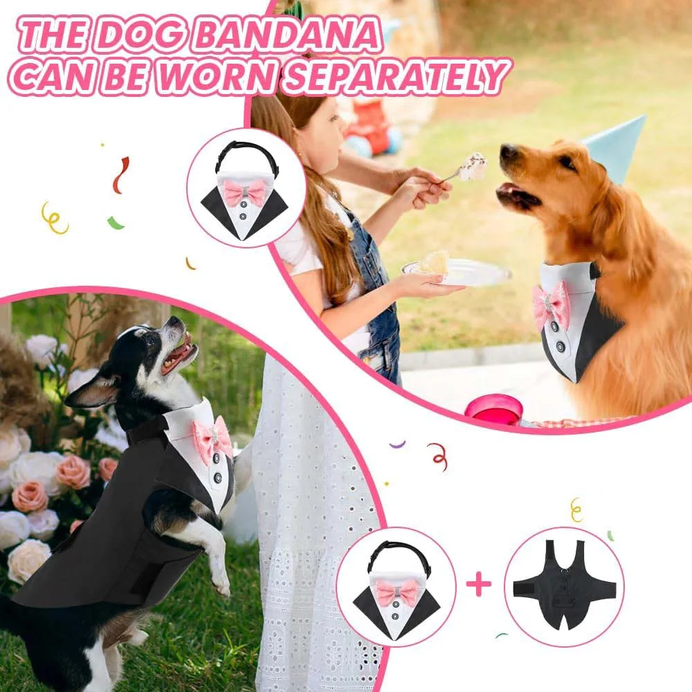 Dog Tuxedo Costume